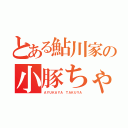 とある鮎川家の小豚ちゃん（ＡＹＵＫＡＹＡ ＴＡＫＵＹＡ）