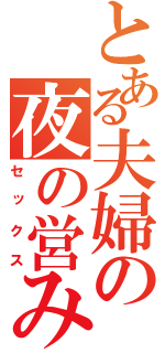 とある夫婦の夜の営み（セックス）