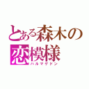 とある森木の恋模様（ハルマゲドン）