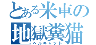 とある米車の地獄糞猫（ヘルキャット）