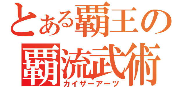 とある覇王の覇流武術（カイザーアーツ）