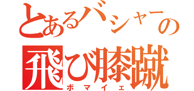 とあるバシャーモの飛び膝蹴り（ボマイェ）