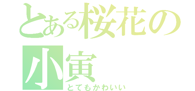 とある桜花の小寅（とてもかわいい）