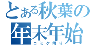 とある秋葉の年末年始（コミケ帰り）