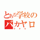 とある学校のバカヤロー（ひかる）