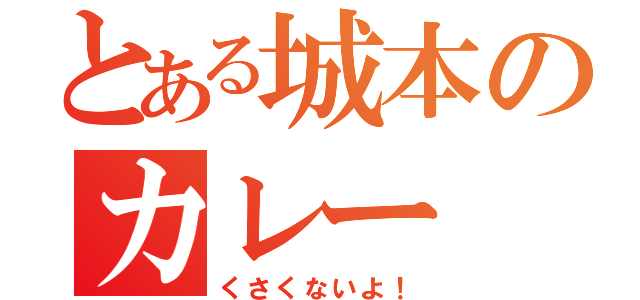 とある城本のカレー（くさくないよ！）