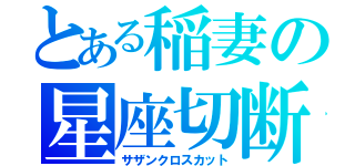 とある稲妻の星座切断（サザンクロスカット）