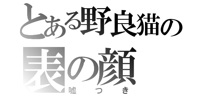 とある野良猫の表の顔（嘘つき）