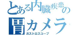 とある内臓疾患者の胃カメラ（ガストロスコープ）