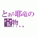 とある耶竜の宝物（人工学園）