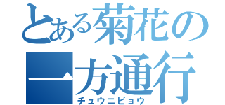 とある菊花の一方通行（チュウニビョウ）