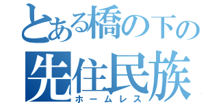 とある橋の下の先住民族（ホームレス）