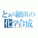 とある細菌の化学合成（ショウカキン）