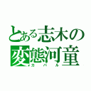 とある志木の変態河童（カパル）