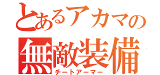 とあるアカマの無敵装備（チートアーマー）