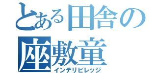 とある田舎の座敷童（インテリビレッジ）