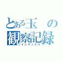 とある玉の観察記録（インデックス）