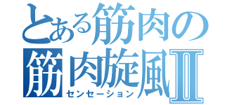 とある筋肉の筋肉旋風Ⅱ（センセーション）