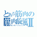 とある筋肉の筋肉旋風Ⅱ（センセーション）