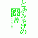 とあるみやげの毬藻（マリモッコリ）