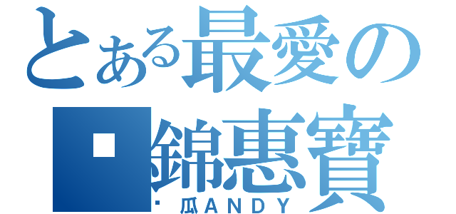 とある最愛の傻錦惠寶貝（傻瓜ＡＮＤＹ）