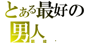 とある最好の男人（劉峻瑋）