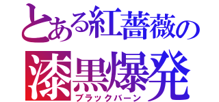 とある紅薔薇の漆黒爆発（ブラックバーン）