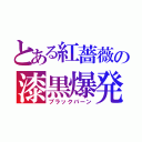 とある紅薔薇の漆黒爆発（ブラックバーン）