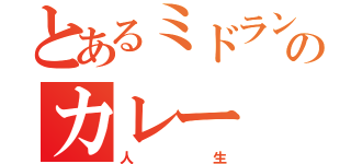 とあるミドランのカレー（人生）