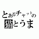 とあるチャットの猫とうま（）