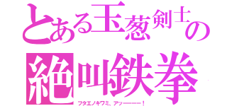 とある玉葱剣士の絶叫鉄拳（フタエノキワミ、アッーーーー！）