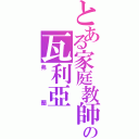 とある家庭教師の瓦利亞（弗蘭）