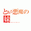 とある悪魔の妹（フランドール・スカーレット）