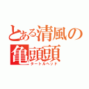 とある清風の亀頭頭（タートルヘッド）