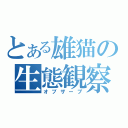 とある雄猫の生態観察（オブザーブ）