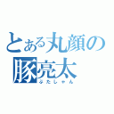 とある丸顔の豚亮太（ぶたしゃん）