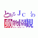 とあるＪＣ ＪＤの動物園観光（ａｎｉｍａｌｓ）