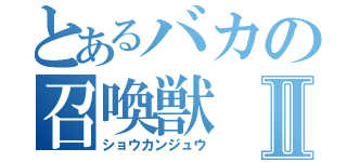 とあるバカの召喚獣Ⅱ（ショウカンジュウ）