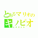 とあるマリオのキノピオ（ヒキガエル）