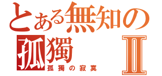 とある無知の孤獨Ⅱ（孤獨の寂寞）