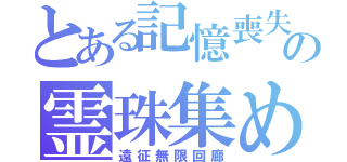 とある記憶喪失の霊珠集め（遠征無限回廊）