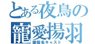 とある夜鳥の寵愛揚羽（御指名キャスト）