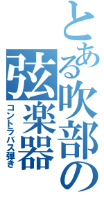 とある吹部の弦楽器（コントラバス弾き）