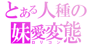 とある人種の妹愛変態（ロリコン）