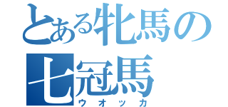 とある牝馬の七冠馬（ウオッカ）