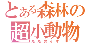 とある森林の超小動物（ただのりす）