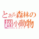 とある森林の超小動物（ただのりす）