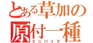 とある草加の原付一種（ミニバイク）