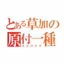 とある草加の原付一種（ミニバイク）