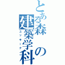 とある森の建築学科Ⅱ（ユッキーナ）